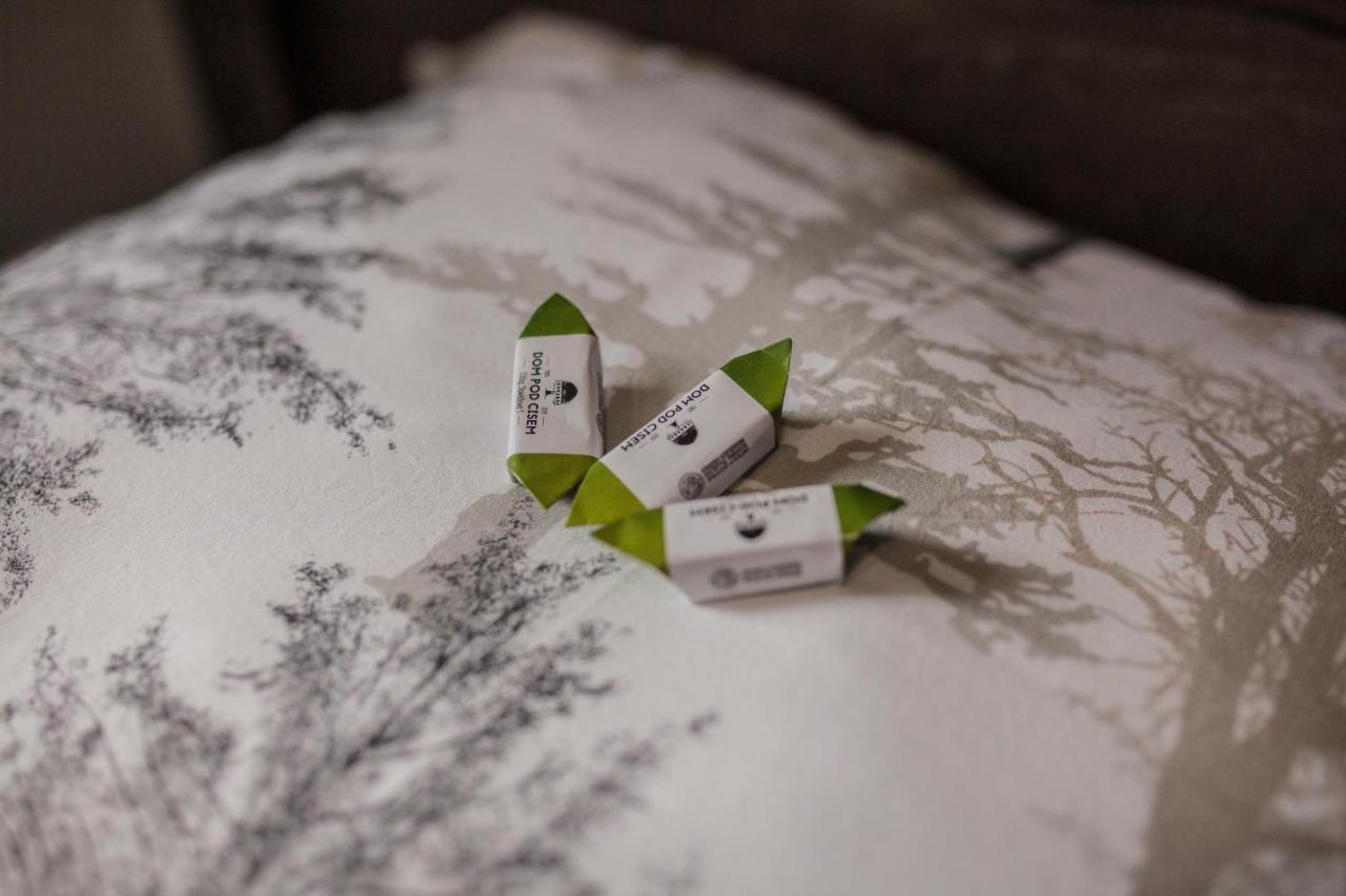 Hostel Pod Cisem 埃尔布隆格 外观 照片